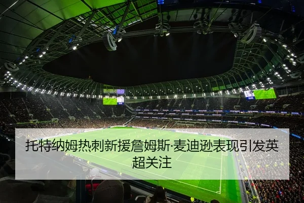 托特纳姆热刺新援詹姆斯·麦迪逊表现引发英超关注 - shaba